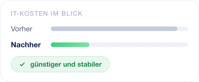 IT-Kosten im Überlick, zur optimierung innerhalb der IT-Beratung