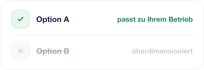 Welche Optionpasst am besten zum Kunden bei der IT-Beratung.