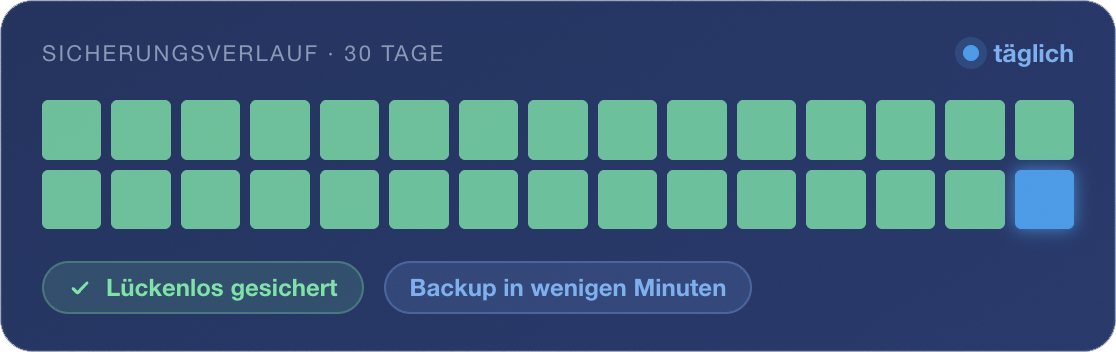 Der Backup sicherungsverlauf, zur IT-Sicherheits überwachung.