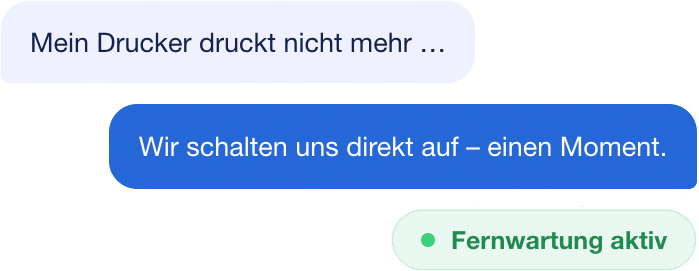 IT-Support per Fernwartung zur schnellen Druckerhilfe
